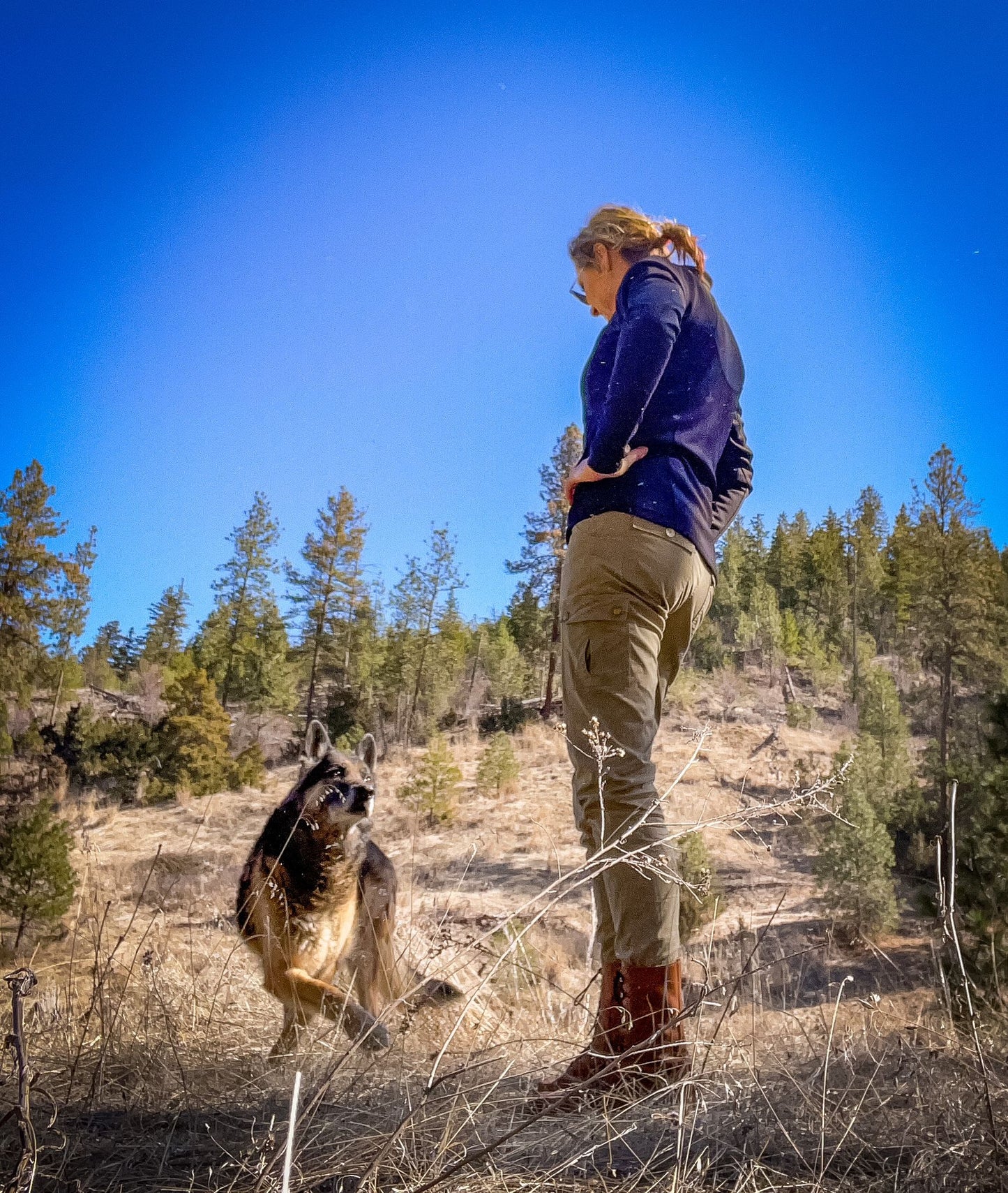Navigator Pants (Classic)
